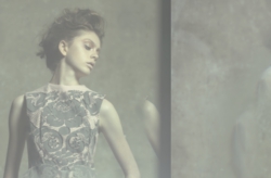 Everzine AW12-7 のコピー.jpg